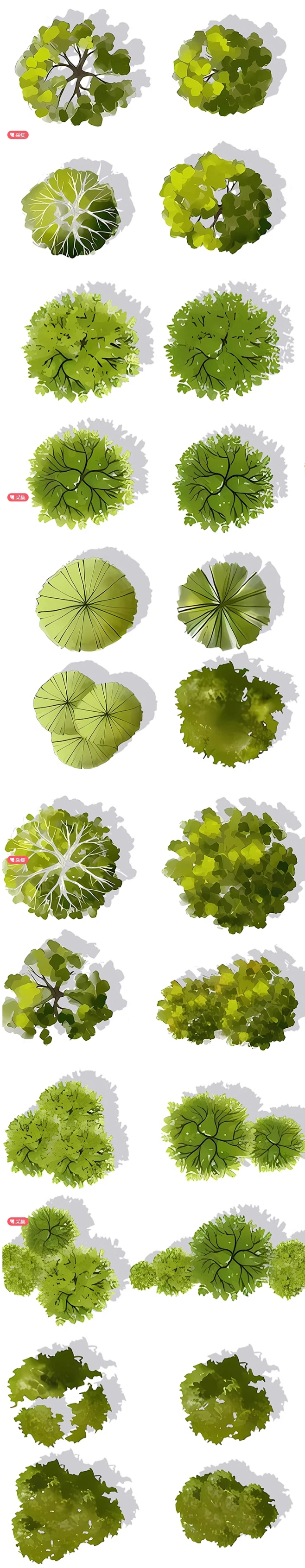 PS小清新平面植物psd免扣素材建筑景观庭院彩平图制作植物psd素材-花瓣网