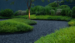 Wemwemwemwem-采集到植物