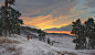 Snowy wasteland