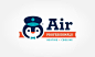 airprofessionals-logo-1024x625