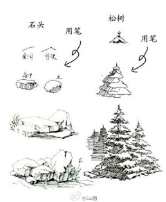 玉海园采集到插画植物