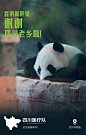 32张感恩海报！武汉市文化和旅游局这波操作太可以了 : ///这是一座于不期然之中成为英雄的城市。武昌首义的枪声已经过去了一百零九年，东湖之水清兮，照见一座江城。这
