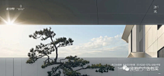 9GlyvqB1采集到经典项目——曲江·流光云谷