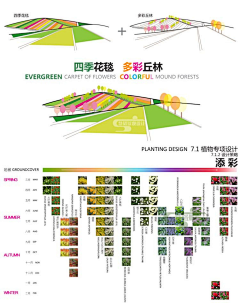 1997x采集到植物种植