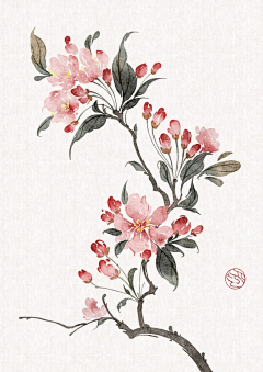 vIr5AjKN采集到花卉