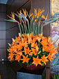 Flower arrangement: 
