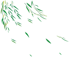 Luna-collection采集到金