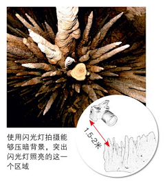 Zoeat123321采集到fotomen人像摄影