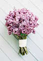 Boquet of Lilacs  [by Jen Huang]