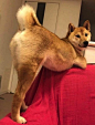 00893JKXly1gi17l8if0xj30go0lw0uw.jpg (600×788)