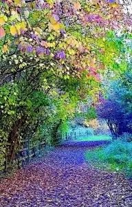 说走就走的旅行