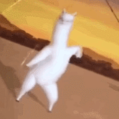 沙雕羊驼表情包 - 堆糖