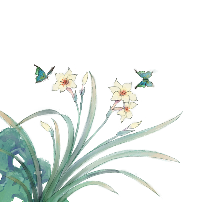 兰花