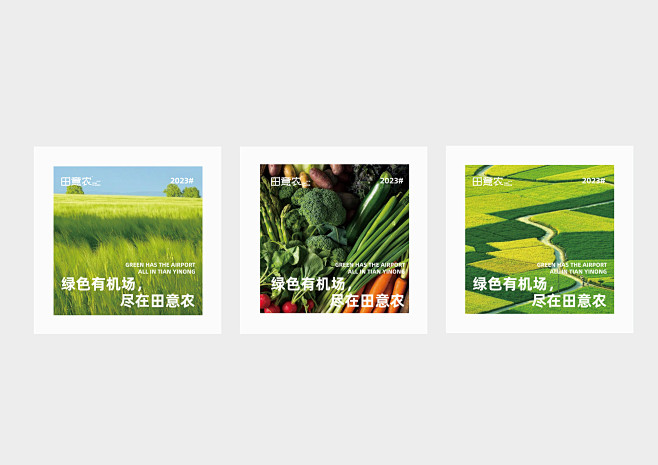 品牌设计|农产品|田意农品牌形象设计-古...