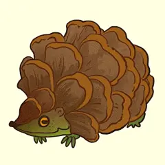 月球运输机 - 小红书