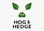 Hog & Hedge logo designed by B&B Studio.