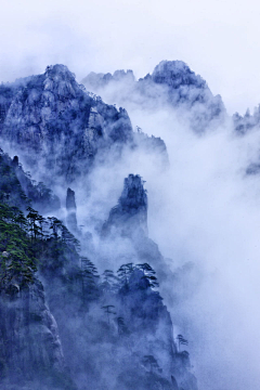 葉楽翎采集到漂亮背景