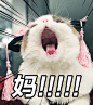 来自分享