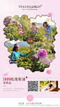 玫莉蔻MorningSkin的照片 - 微相册