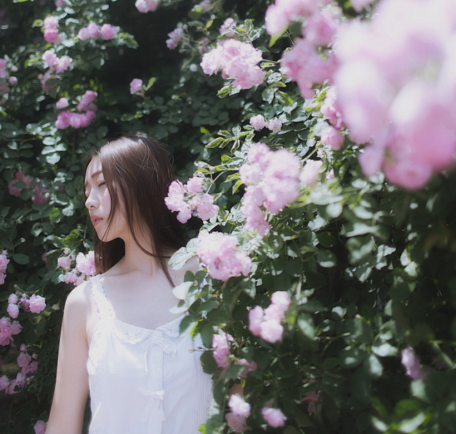 落花8