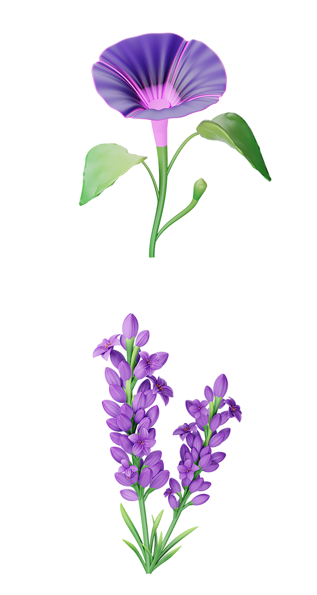 春天春季三维立体鲜花牵牛花Blender...