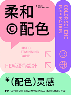 wumengting采集到pai'b