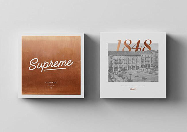 Supreme时尚服装店品牌形象设计