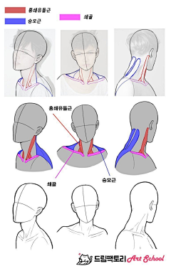 wwooww采集到人体参考