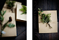 Holiday foliage of cypress and acacia leaves as gift wrap