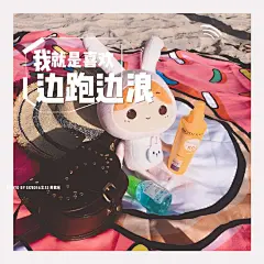 兔小点又来到美丽的的塞舌尔，开始为期一周的工作 ​​​​