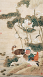 工笔画荷花 赵文元作品欣赏