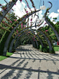 just a walk in the park - Southbank, Brisbane, Australia