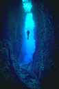 tryintoxpress:

Dive - Peter Pinnock -  • ♤♡♢♧ •