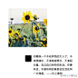 #浏览有道# 你要做一个不动声色的大人了，不准情绪化，不准偷偷想念，不准回头看，去过自己另外的生活；你要听话，不是所有的鱼都会生活在同一片海里。下班路上，有没有那么一句村上春树，给你最深体会？
