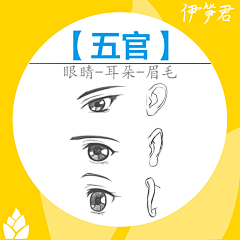 雅贤YY采集到【绘画-人体结构】眼睛、耳朵