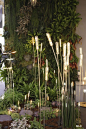 (24) Pinterest