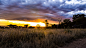 Sunset After Ranining in Serengeti by Jinup Kim on 500px