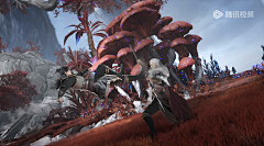 奇幻森林树林奇异植物植被山谷截屏2023-11-14 23