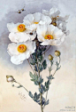 法国水彩画家Raoul Maucherat De Longpre水彩花卉作品。（图源来自于微博）