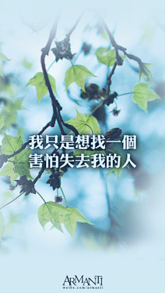 殇逝的Dandelion采集到唯美 文字