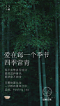 关于茶的一些节气性海报-古田路9号-品牌创意/版权保护平台