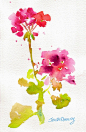 geranium stem by Jan's Art, via Flickr #治愈系#