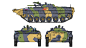 BMP-1(a)