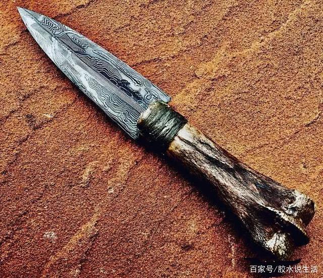 骨质匕首外形看似平常其竟原料是由骨头