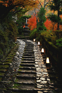 ZadaJane采集到日式景观