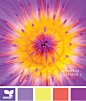 design-seeds、色卡、配色、design-seeds