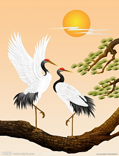 昙越采集到图片