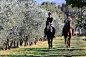 Il Borro Relais for your Holiday 5 Star in Tuscany