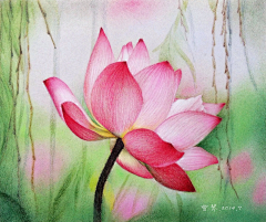 censor-zDycd8A0采集到彩铅