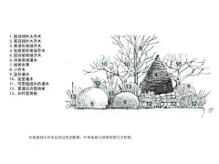 郑昊0123采集到花园